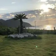 はひふの画像