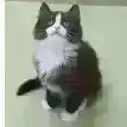 Mプロフ必読願いの画像