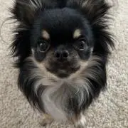 KT  プロフィール読んでほしいです♡の画像