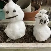 ちよ
