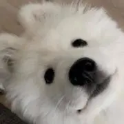 青の画像
