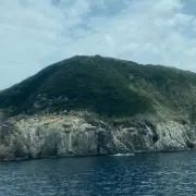 ヒロ