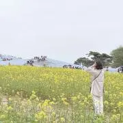 みーの画像