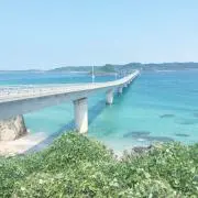 carry on♪の画像