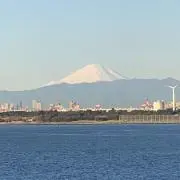 まーち(プロフィールご覧下さい)の画像