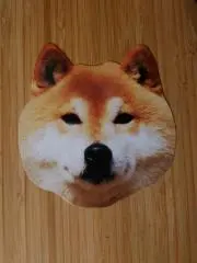 Oliveの画像