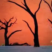 れいの画像