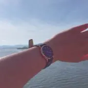 ひまわり