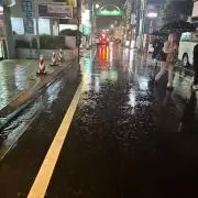 ヒビキの画像