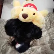 ぷーさん