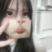 ぽむの画像