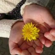 アース