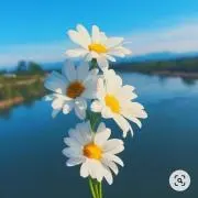 emの画像