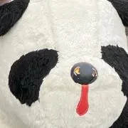 どな　まとめ割引okの画像