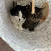 無視は困るの画像