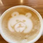 よんたの画像