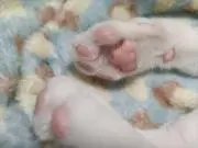 MOFUの画像