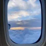 SENの画像