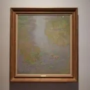 睡蓮の画像
