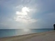 さくらんぼの画像