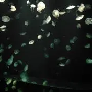 ぐりとぐらの画像
