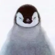 penchanの画像