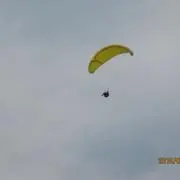 ⚠️プロフ必読⚠️の画像