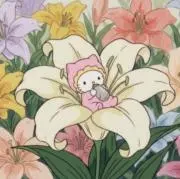 さかいの画像