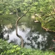 Zakiの画像