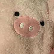 ぶーこ