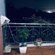 フォン