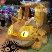ユミの画像