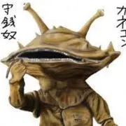 かねごんの画像