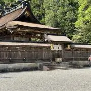 Dreamer007の画像