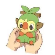とりの画像