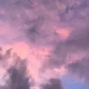 ピザ