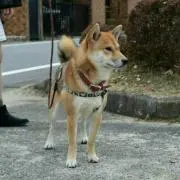 サブロー