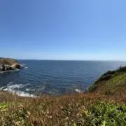 内の画像