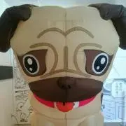 とぼ