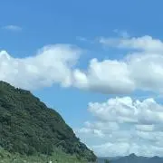summer wind