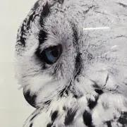 な。