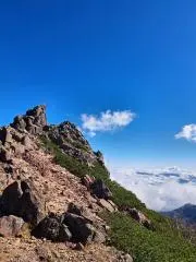 ひまじんの画像