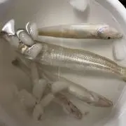 だい