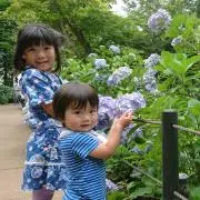 さっきー