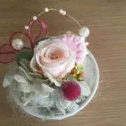 ショコママ　プロフご覧下さいの画像