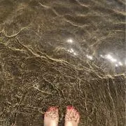 Qの画像