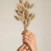 en…の画像