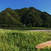 hmの画像
