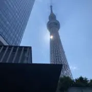 大きいサイズのスニーカーの画像