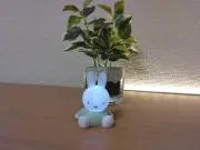 コペリーヌの画像